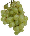 img23.png
