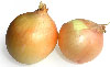 img32.png
