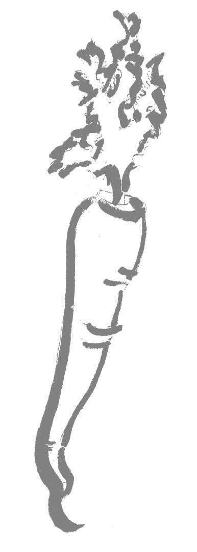 00013.jpg