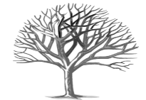 img5.png