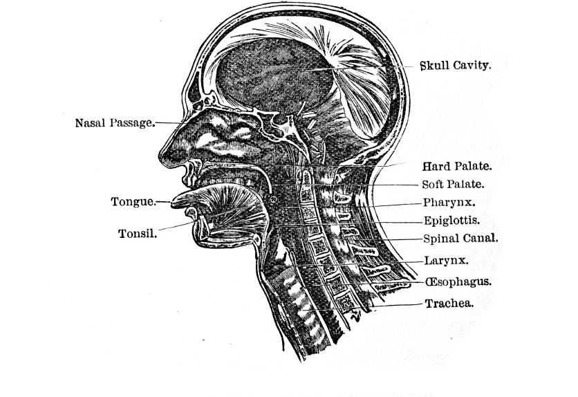 index-11_1.jpg