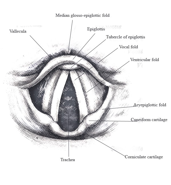 index-13_1.jpg