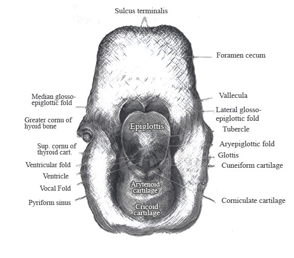 index-13_2.jpg