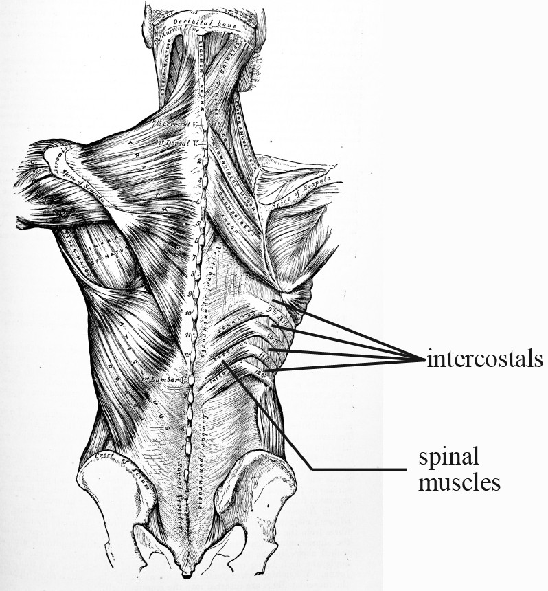 index-15_2.jpg