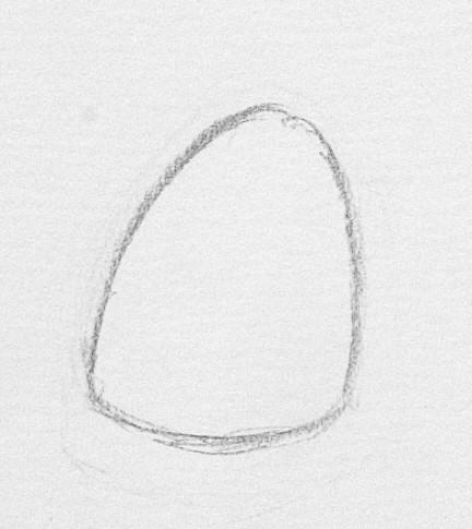 img10.jpg