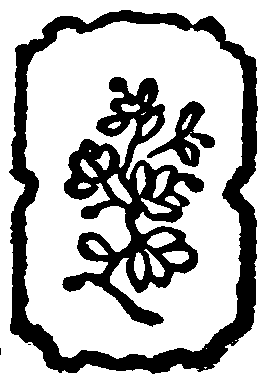 index-155_1.png