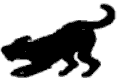 index-158_1.png