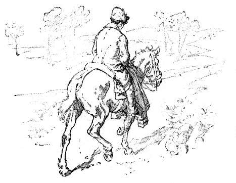 index-135_1.jpg