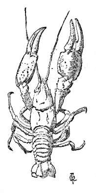 index-156_1.jpg