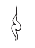 img11.png