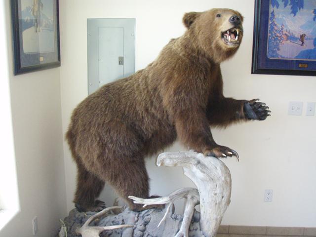 index-90_3.jpg