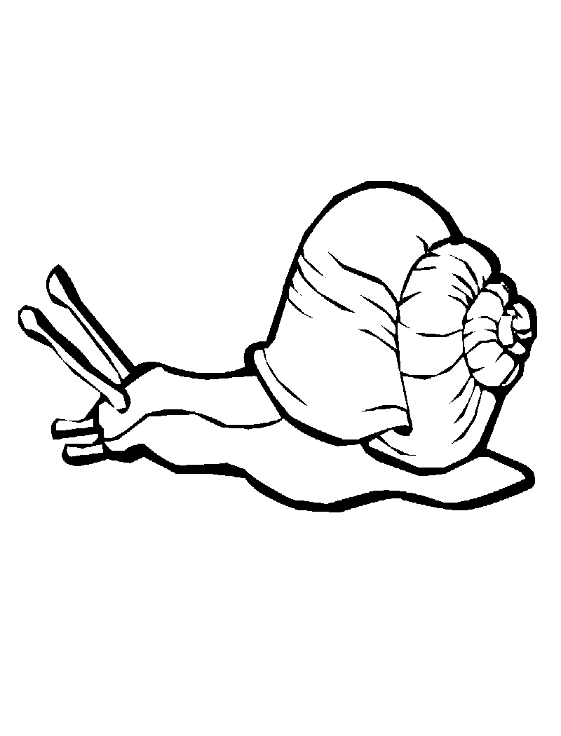 My Big Book of Coloring by Tammy Scherck - HTML preview, Page 1