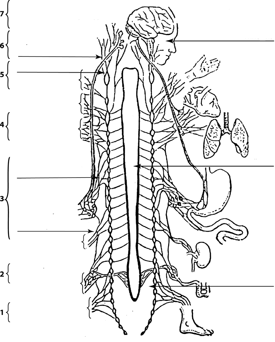 index-23_2.png