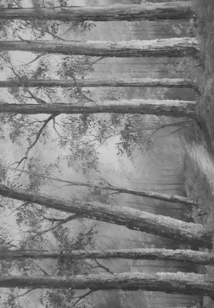 img12.jpg