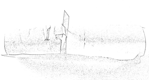 img7.jpg