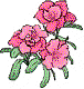 img3.png