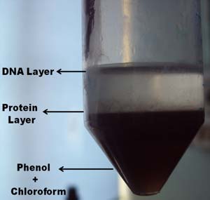 index-53_1.jpg