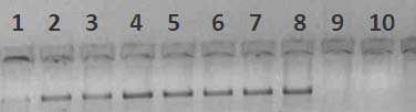 index-55_1.jpg