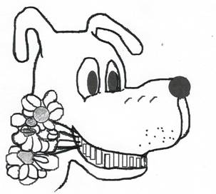 image020.jpg