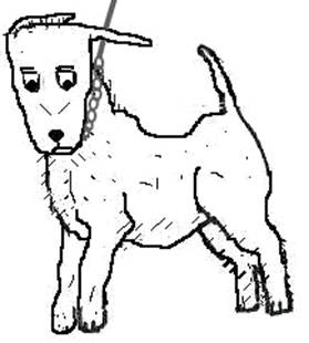 image034.jpg