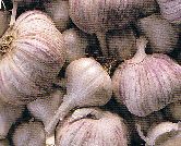 image041.jpg