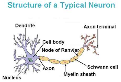 index-65_1.jpg