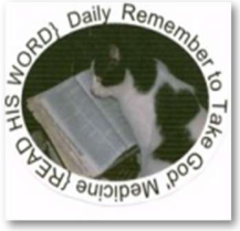 img3.png