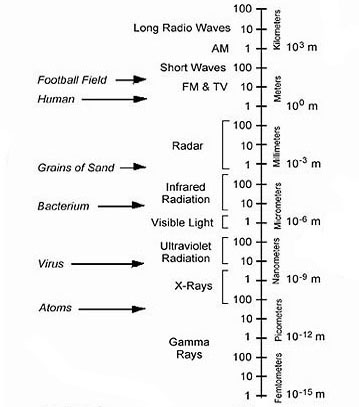 index-339_1.jpg