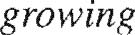 index-125_7.jpg
