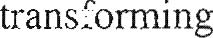index-77_8.jpg