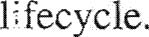 index-98_17.jpg