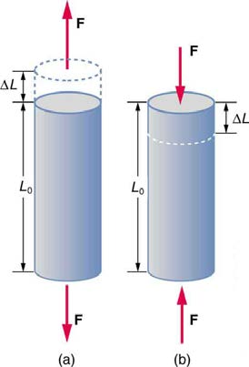 index-174_1.jpg