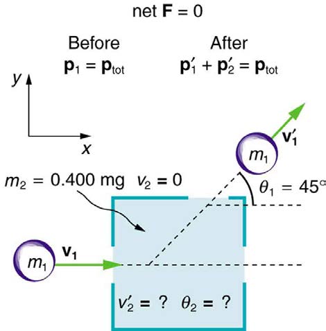index-279_1.jpg