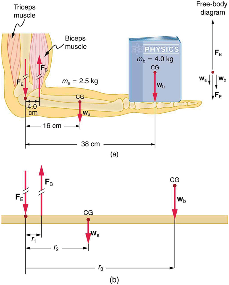 index-307_1.jpg