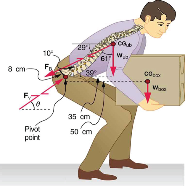 index-311_1.jpg
