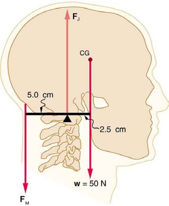 index-316_4.jpg