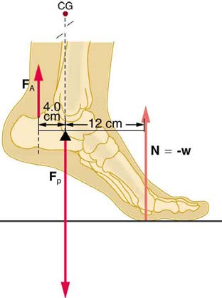 index-317_1.jpg