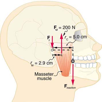 index-317_3.jpg