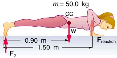 index-317_4.jpg
