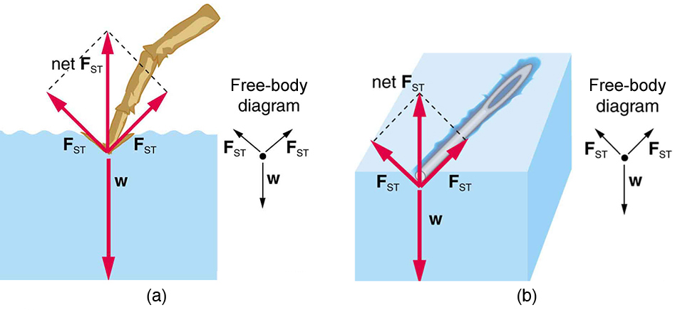 index-381_1.jpg
