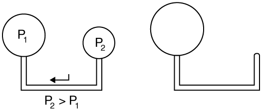 index-382_1.jpg
