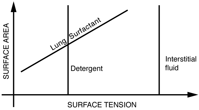 index-383_2.jpg
