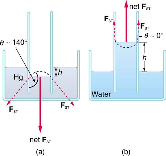 index-385_1.jpg