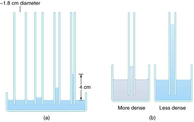 index-386_1.jpg