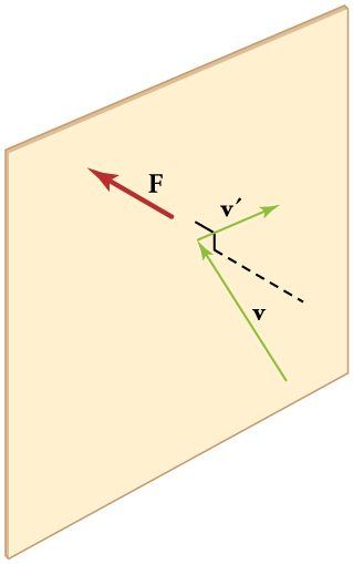 index-450_1.jpg