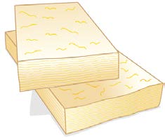 index-487_1.jpg