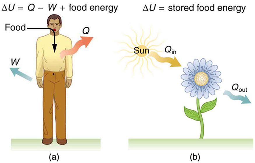 index-512_1.jpg