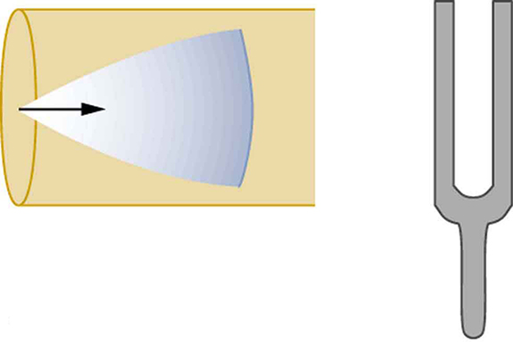index-606_2.jpg