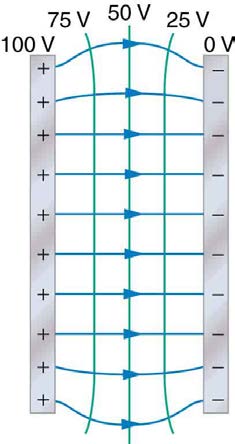 index-676_3.jpg