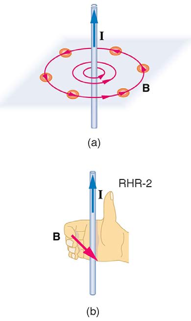 index-796_1.jpg